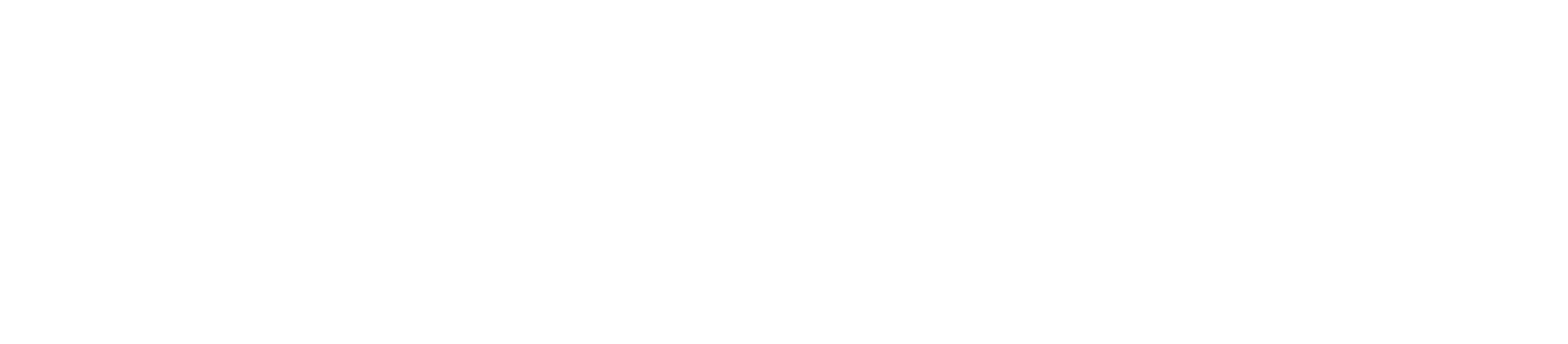 olami-souled logo