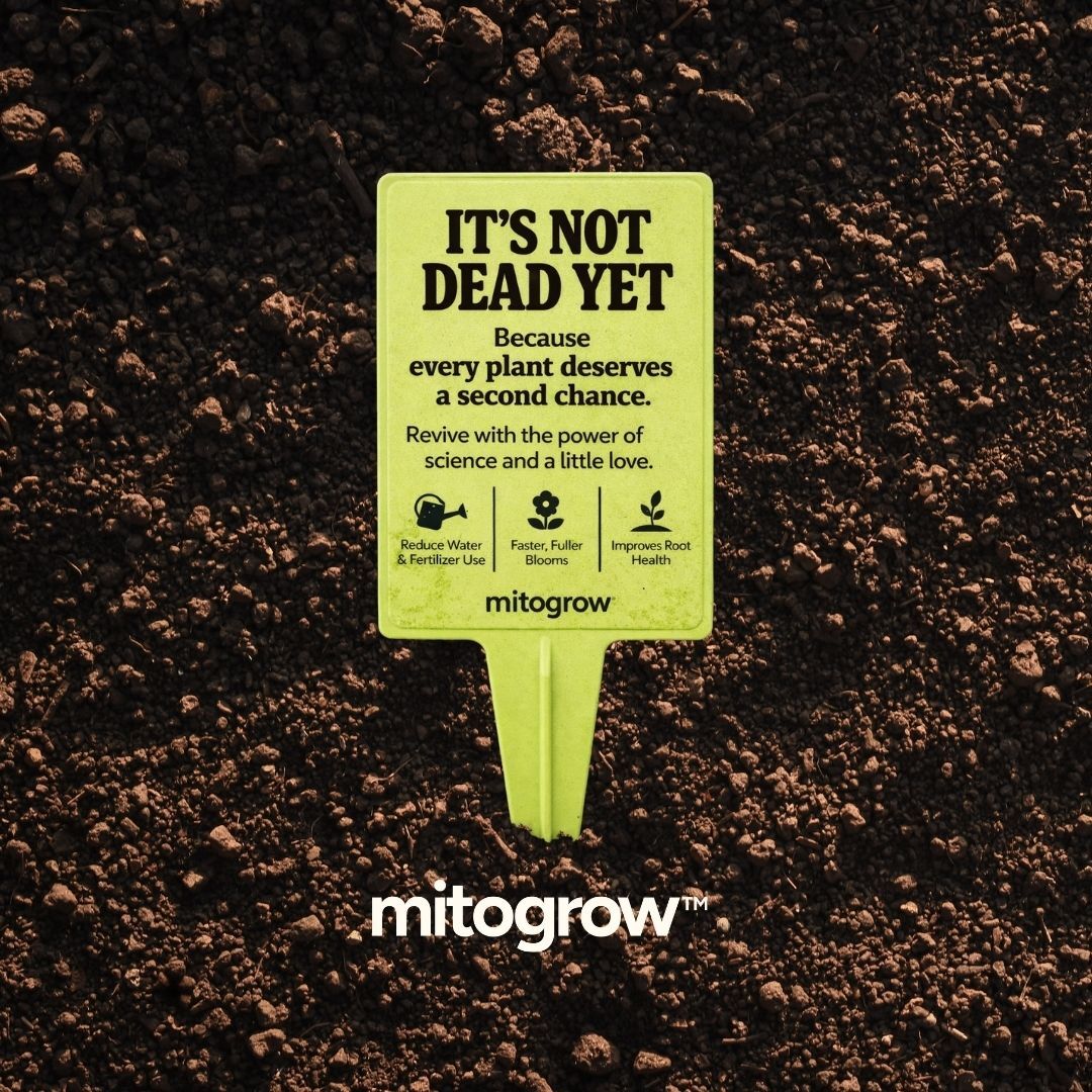 Mitogrow Pletor ad creative